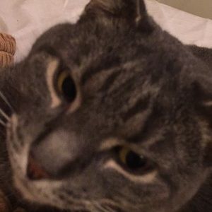 Meet your Posher, Rachael